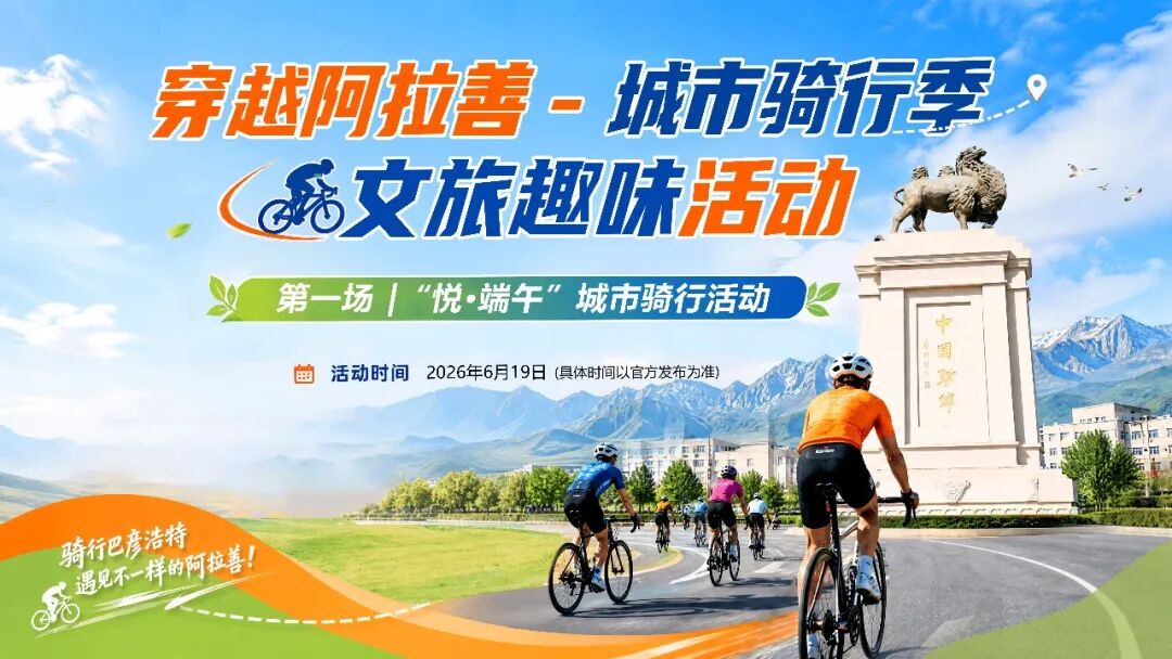 559aba3a-56a2-40f3-8b09-ed6d18a83bb9.jpg